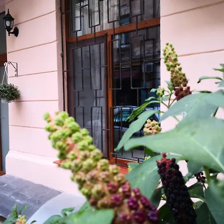 затишні апартаменти, вулиця дерибасівська, 13 Apartment Odesa