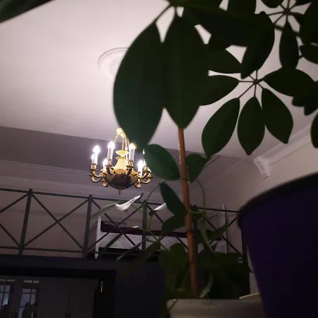 Apartmán затишні апартаменти, дерибасівська *