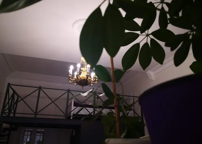 דירה затишні апартаменти, дерибасівська *