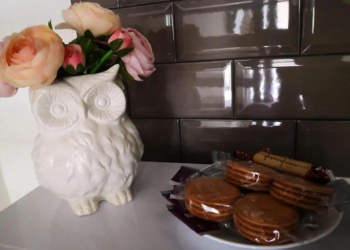 דירה затишні апартаменти, дерибасівська