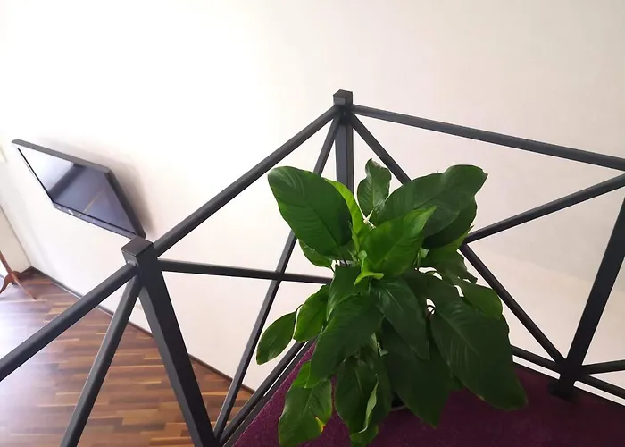 затишні апартаменти, дерибасівська דירה *