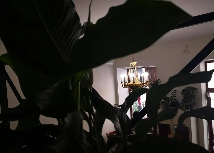 затишні апартаменти, дерибасівська אודסה