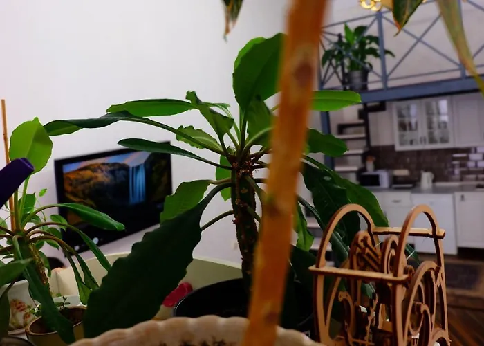 דירה затишні апартаменти, дерибасівська אודסה