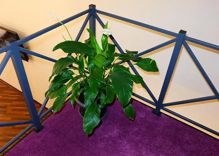 затишні апартаменти, дерибасівська * אודסה