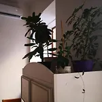 затишні апартаменти, дерибасівська Appartamento