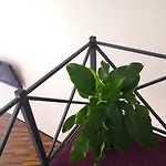 затишні апартаменти, дерибасівська Appartamento *