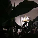 затишні апартаменти, дерибасівська Odessa