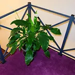 затишні апартаменти, дерибасівська * Odessa