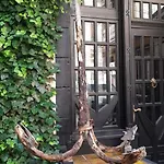 затишні апартаменти, дерибасівська Odessa